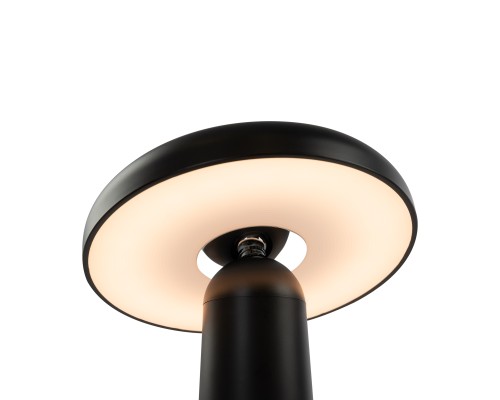 Аккумуляторный светильник Freya FR6109TL-L4B