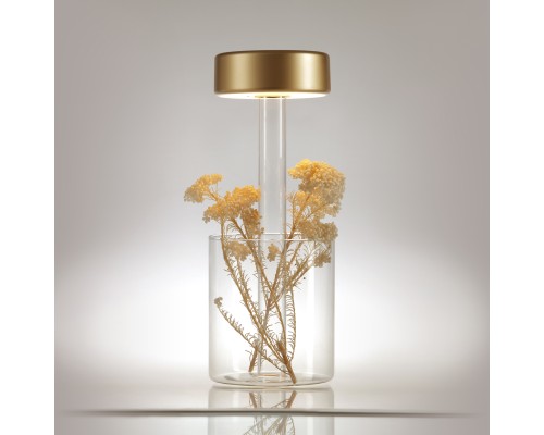 Аккумуляторный светильник Maytoni MOD229TL-L3G3K1