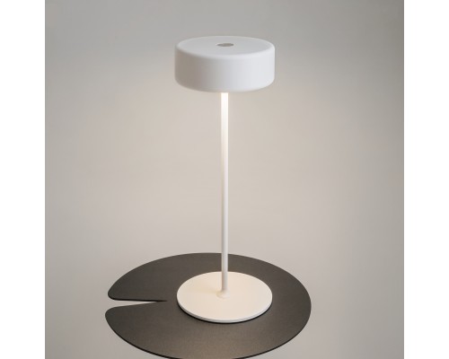 Аккумуляторный светильник Maytoni MOD229TL-L3W3K2