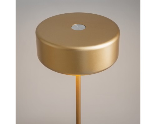 Аккумуляторный светильник Maytoni MOD229TL-L3G3K2