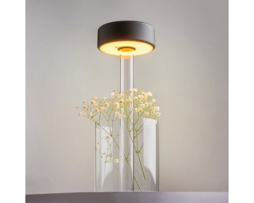 Аккумуляторный светильник Maytoni MOD229TL-L3B3K1