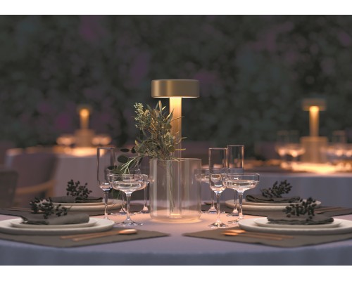 Аккумуляторный светильник Maytoni MOD229TL-L3G3K1