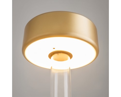 Аккумуляторный светильник Maytoni MOD229TL-L3G3K1