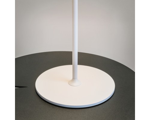 Аккумуляторный светильник Maytoni MOD229TL-L3W3K2