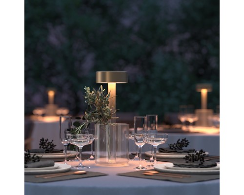 Аккумуляторный светильник Maytoni MOD229TL-L3G3K1