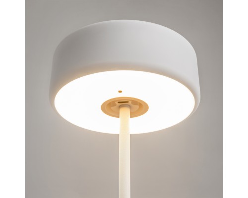 Аккумуляторный светильник Maytoni MOD229TL-L3W3K2