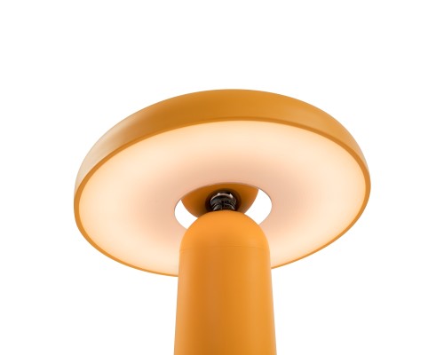Аккумуляторный светильник Freya FR6109TL-L4OR