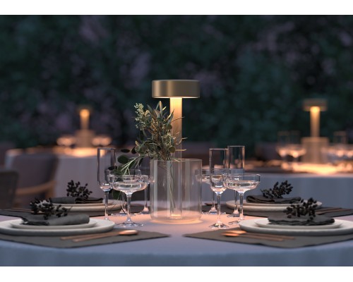 Аккумуляторный светильник Maytoni MOD229TL-L3G3K1