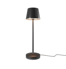 Аккумуляторный светильник Maytoni MOD494RL-L1BK