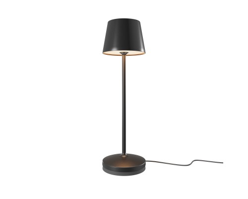 Аккумуляторный светильник Maytoni MOD494RL-L1BK