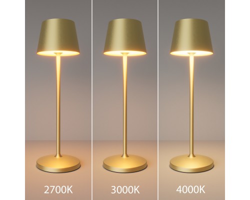 Аккумуляторный светильник Maytoni MOD494RL-L1BSK