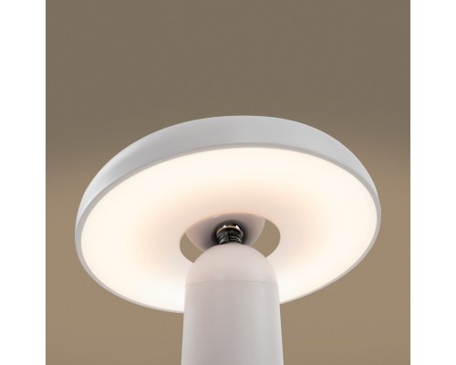 Аккумуляторный светильник Freya FR6109TL-L4W