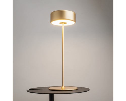 Аккумуляторный светильник Maytoni MOD229TL-L3G3K2