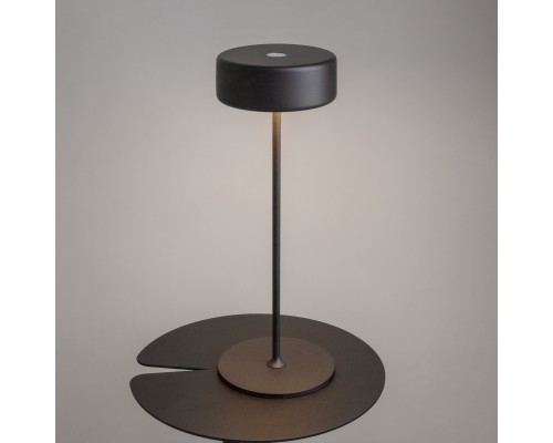 Аккумуляторный светильник Maytoni MOD229TL-L3B3K2