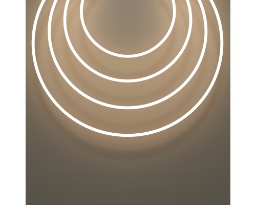 Гибкий неон Led Strip 432045