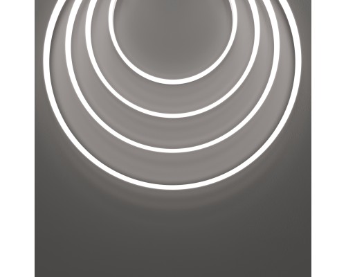 Гибкий неон Led Strip 432031