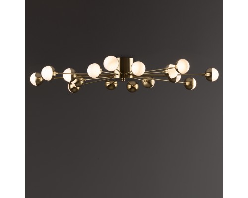 Потолочный светильник Freya FR5242CL-16BS