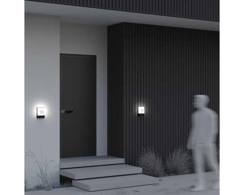 Настенный светильник (бра) Outdoor O448WL-L9GF3KSR