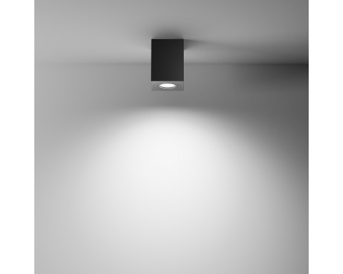 Потолочный светильник Technical C017CL-01B