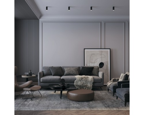 Потолочный светильник Technical C052CL-01B