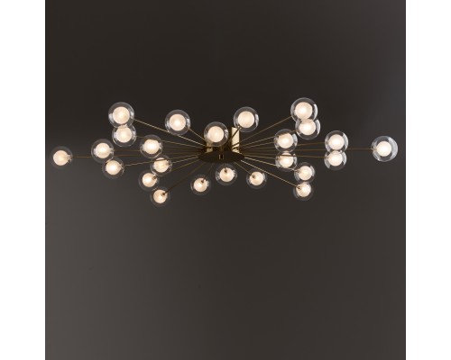 Потолочный светильник Freya FR5242CL-24BS1