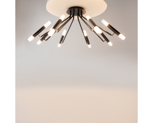 Потолочный светильник Maytoni MOD620CL-16B