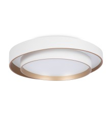 Потолочный светильник Freya FR6085CL-L72WG