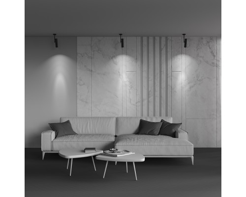 Потолочный светильник Technical C020CL-01B