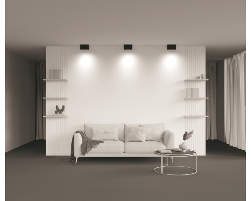 Потолочный светильник Technical C017CL-02B