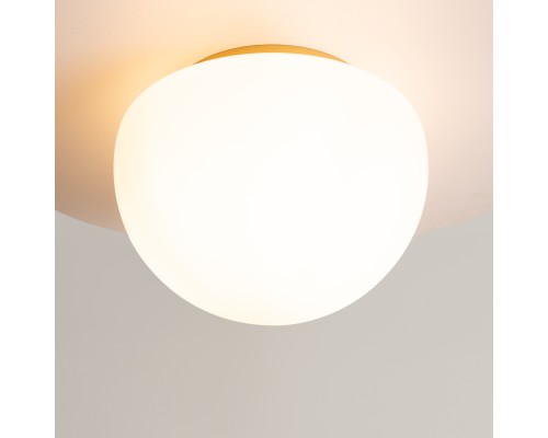 Потолочный светильник Maytoni MOD270CL-01G