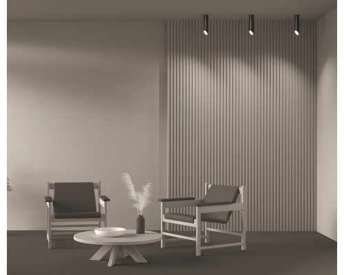 Потолочный светильник Technical C044CL-01-25GU10-B