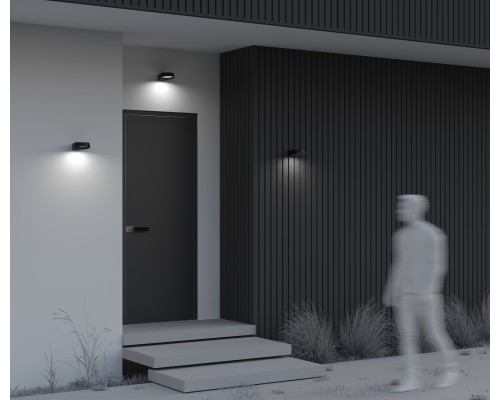 Настенный светильник (бра) Outdoor O443WL-L12GF3K