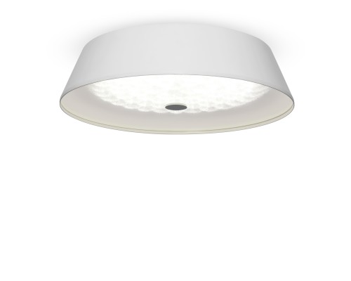 Потолочный светильник Freya FR10013CL-L24W