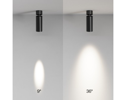 Потолочный светильник Technical C055CL-L12W4K-SS-B