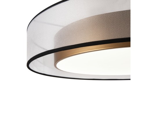 Потолочный светодиодный светильник Freya Zoticus FR6005CL-L48G