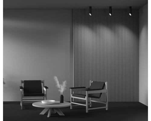 Потолочный светильник Technical C044CL-01-25GU10-B