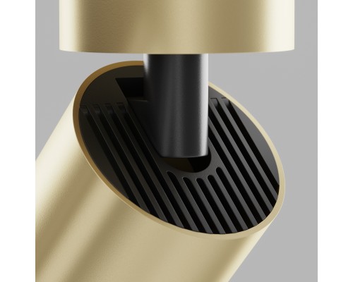 Потолочный светильник Technical C051CL-01G