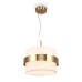 Подвесной светильник Freya FR5367PL-01BS