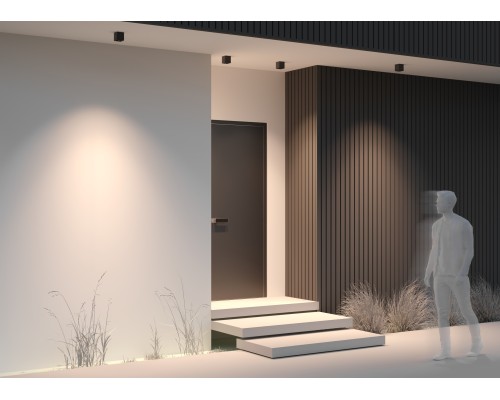 Потолочный светильник Outdoor O309CL-L8GF3K