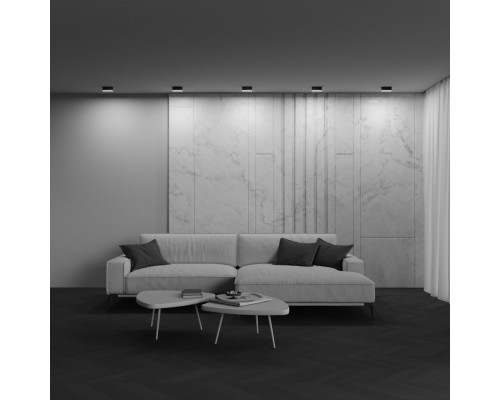 Потолочный светильник Technical C068CL-12W3-6K-B