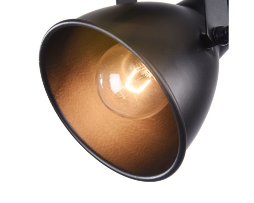 Спот лофт Freya Ibbi FR4276-CW-01-B черный