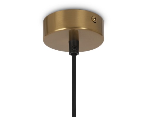 Подвесной светильник Maytoni MOD013PL-04BS1