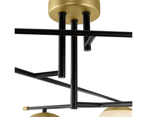 Потолочный светильник Maytoni MOD048CL-06G