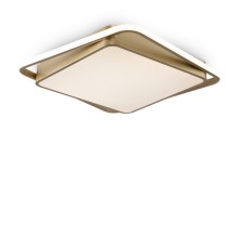 Потолочный светильник Freya FR10026CL-L93G