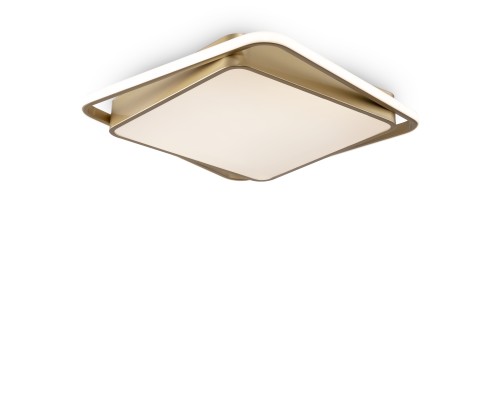 Потолочный светильник Freya FR10026CL-L93G