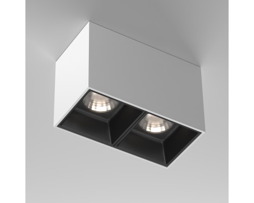 Потолочный светильник Technical C065CL-02-L12W4K-W