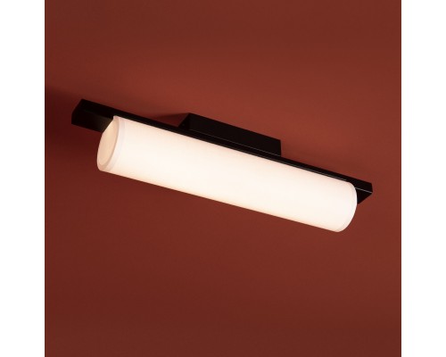 Потолочный светильник Freya FR5625CL-L20B