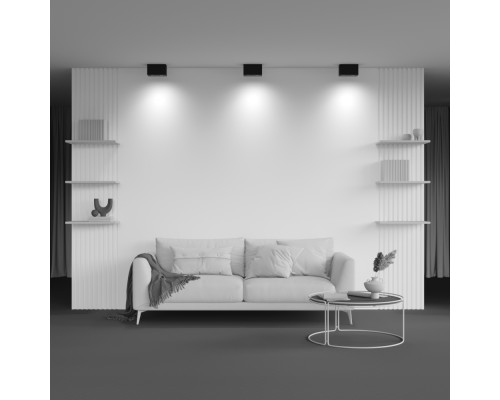 Потолочный светильник Technical C017CL-02B