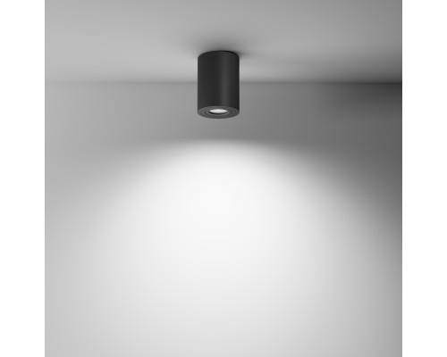 Потолочный светильник Technical C016CL-01B