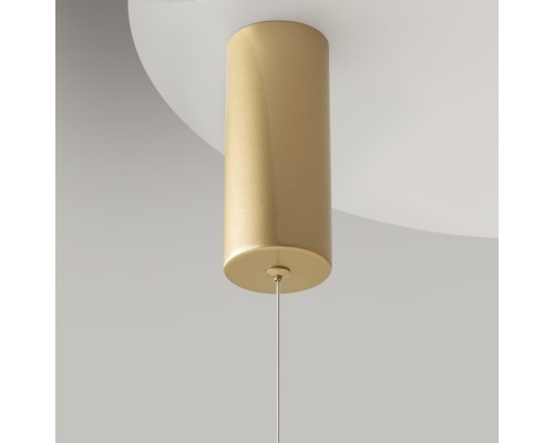 Подвесной светильник Maytoni MOD072PL-L36BSK